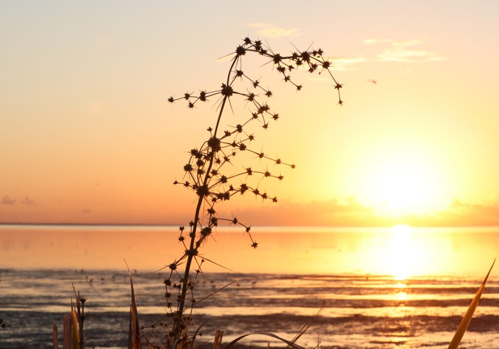Rebuilding After Separation Counselling Linda North Lakes Brisbane